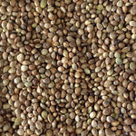Hemp Seed Premium Hemp Bird Seed for Seed-Eating Birds - 5 LBS | Chicken Antibiotics