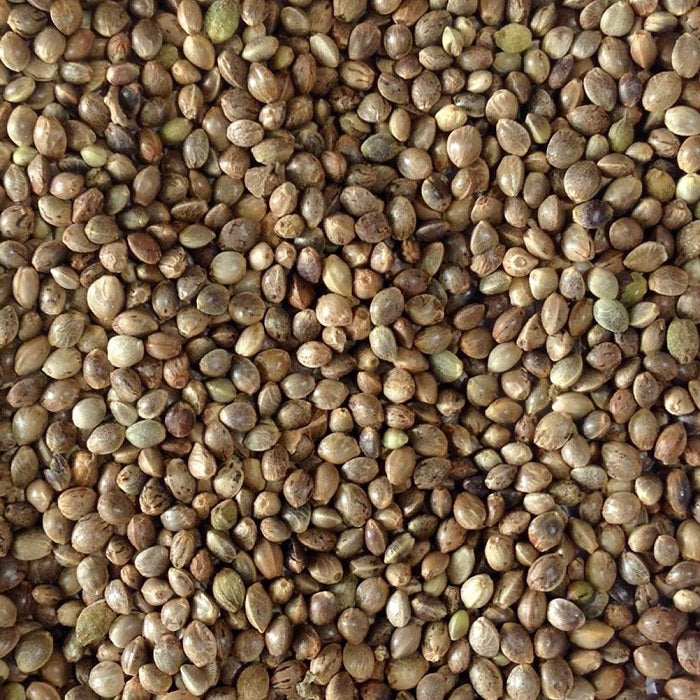 Hemp Seed Premium Hemp Bird Seed for Seed-Eating Birds - 5 LBS | Chicken Antibiotics