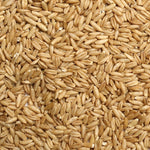 Oat Groats Nutritious Whole Oats for Birds/Pigeons Love It! - 5 LBS | Chicken Antibiotics