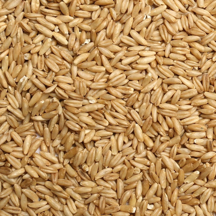 Oat Groats Nutritious Whole Oats for Birds/Pigeons Love It! - 5 LBS | Chicken Antibiotics