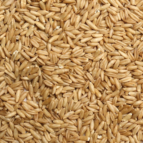 Oat Groats Nutritious Whole Oats for Birds/Pigeons Love It! - 5 LBS | Chicken Antibiotics