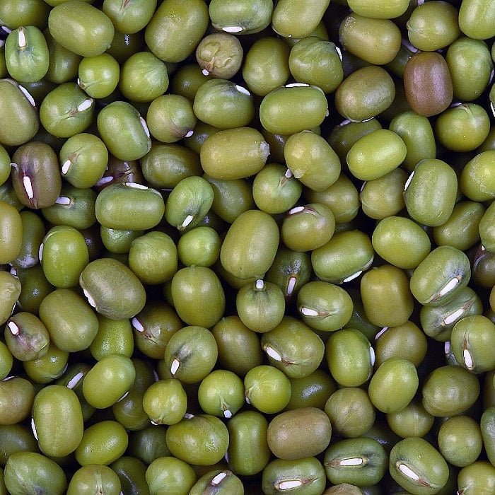 5 lbs Mung Beans Nutritious Mung Beans for Pigeons | Chicken Antibiotics