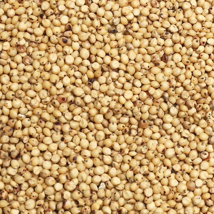 White Milo Milo Seed for Birds/Premium Birdseed - 5 LBS | Chicken Antibiotics
