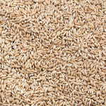 Canary Seed Premium Canadian Canary Bird Food - 5 LBS | Chicken Antibiotics