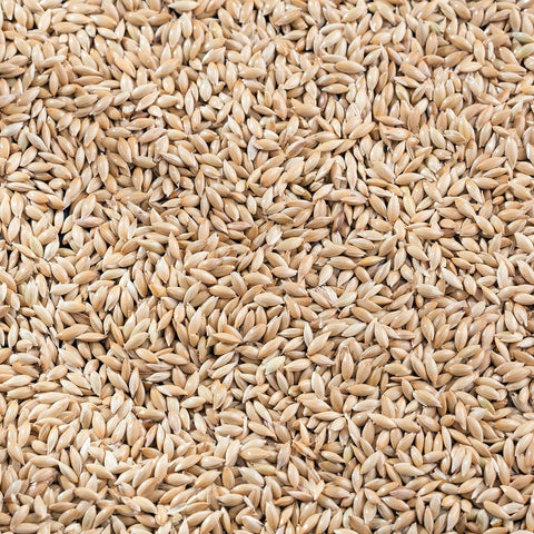 Canary Seed Premium Canadian Canary Bird Food - 5 LBS | Chicken Antibiotics