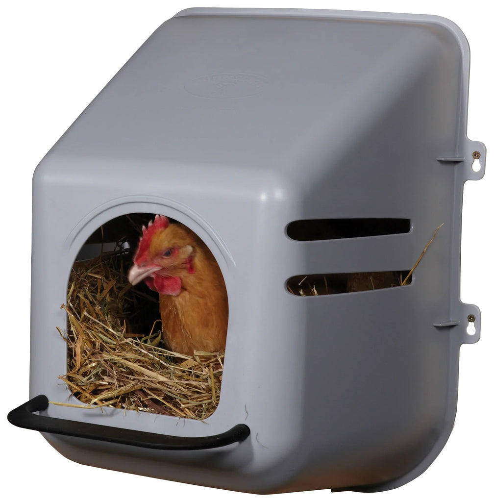 Plastic Chicken Nesting Box | Chicken Antibiotics
