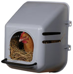 Plastic Chicken Nesting Box | Chicken Antibiotics