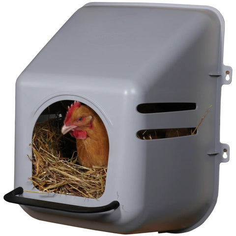 Plastic Chicken Nesting Box | Chicken Antibiotics