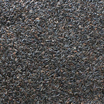 Nyger Seed Premium Nyjer Seed for Birds/Nyger Finch Food - 5 LBS | Chicken Antibiotics