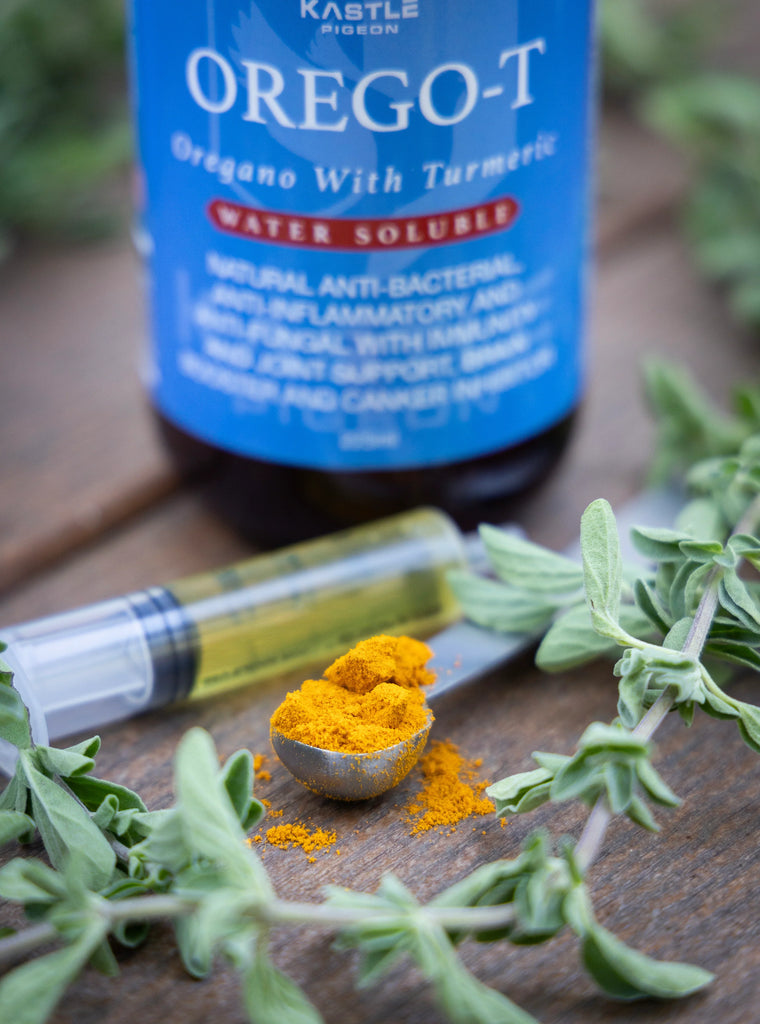 Orego-T 10% Oregano with Turmeric for Pigeons | Natural Gut Health & Immune Support in Water | Chicken Antibiotics
