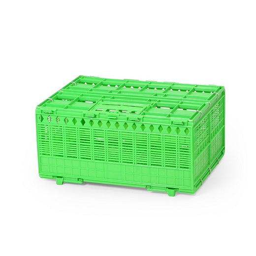 Economy Collapsible Basket (Crown) Pigeon Transport/Bird Travel Cage | Chicken Antibiotics