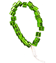 WRAP-AROUND SERIES NUMBERED BANDS - 9 / Green / 26-50 | Chicken Antibiotics