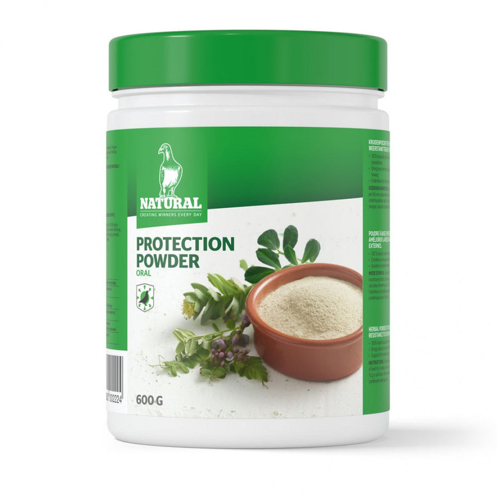 Protection Powder (Natural) Pest Control for Bird Mites: Get Rid of Bird Mites! | Chicken Antibiotics