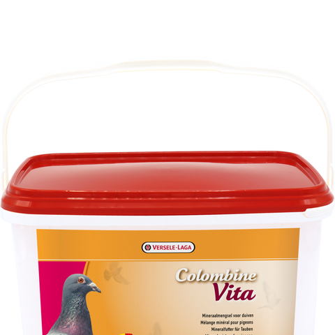 Colombine Vita (Versele-Laga) Pigeon Breeding Supplement with Essential Vitamins - 1 kg | Chicken Antibiotics