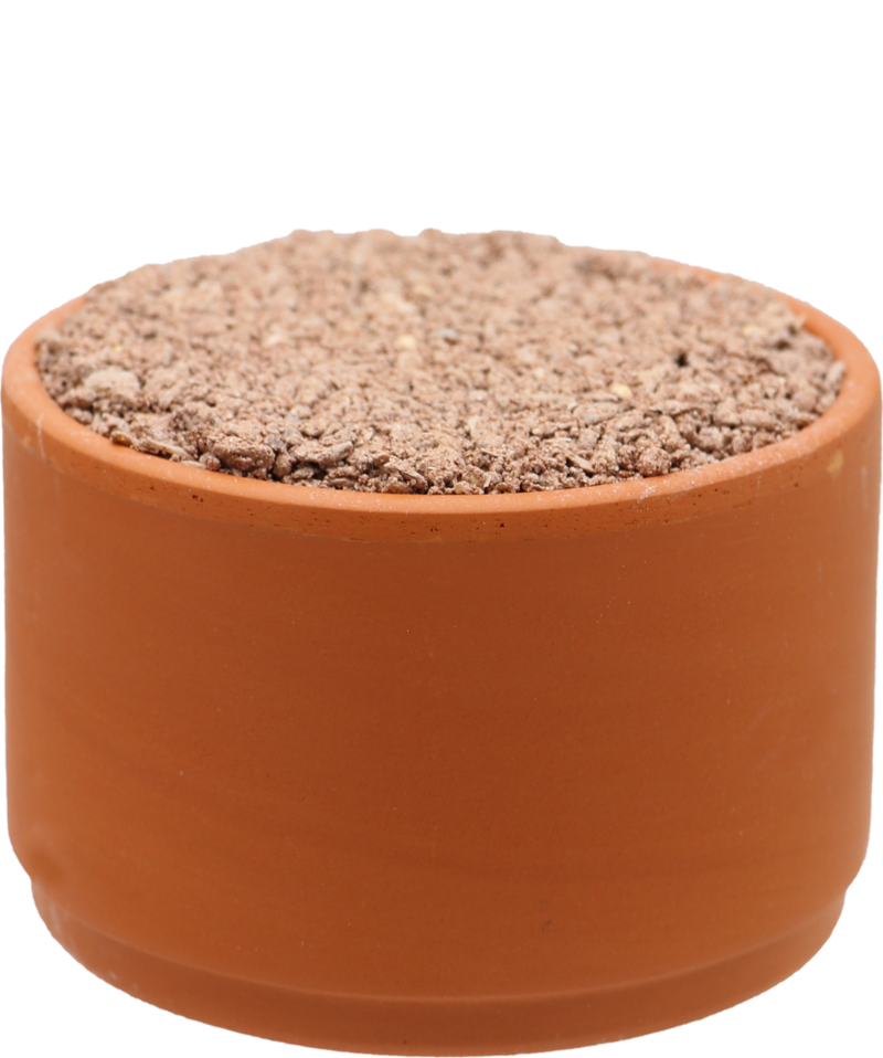 Red Pickstone (Versele-Laga) Premium Clay Pot Pigeon Mineral Supplement | Chicken Antibiotics