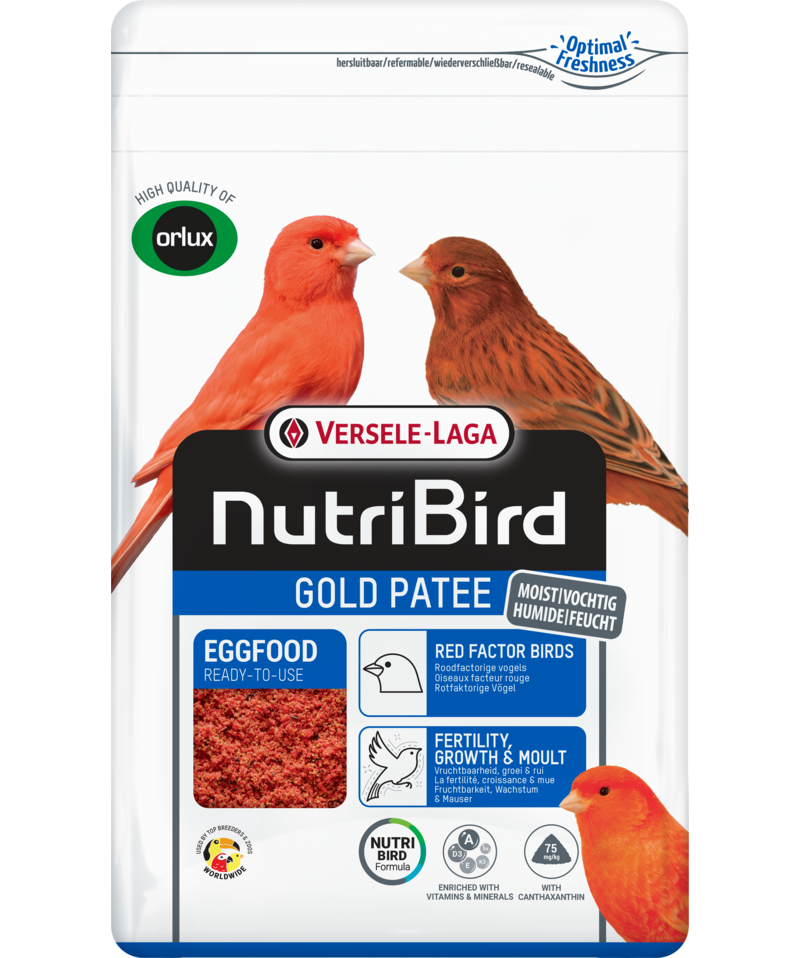 Gold Patee Red (Versele-Laga) Premium Canary Eggfood Supplement | Chicken Antibiotics