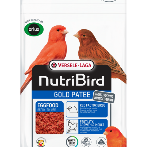 Gold Patee Red (Versele-Laga) Premium Canary Eggfood Supplement | Chicken Antibiotics