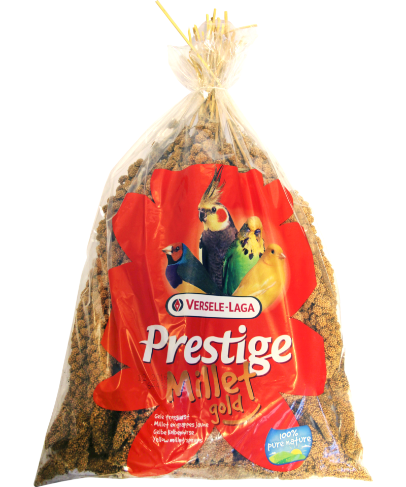Prestige Gold Millet (Versele Laga) Premium Millet Seeds for Birds | Chicken Antibiotics
