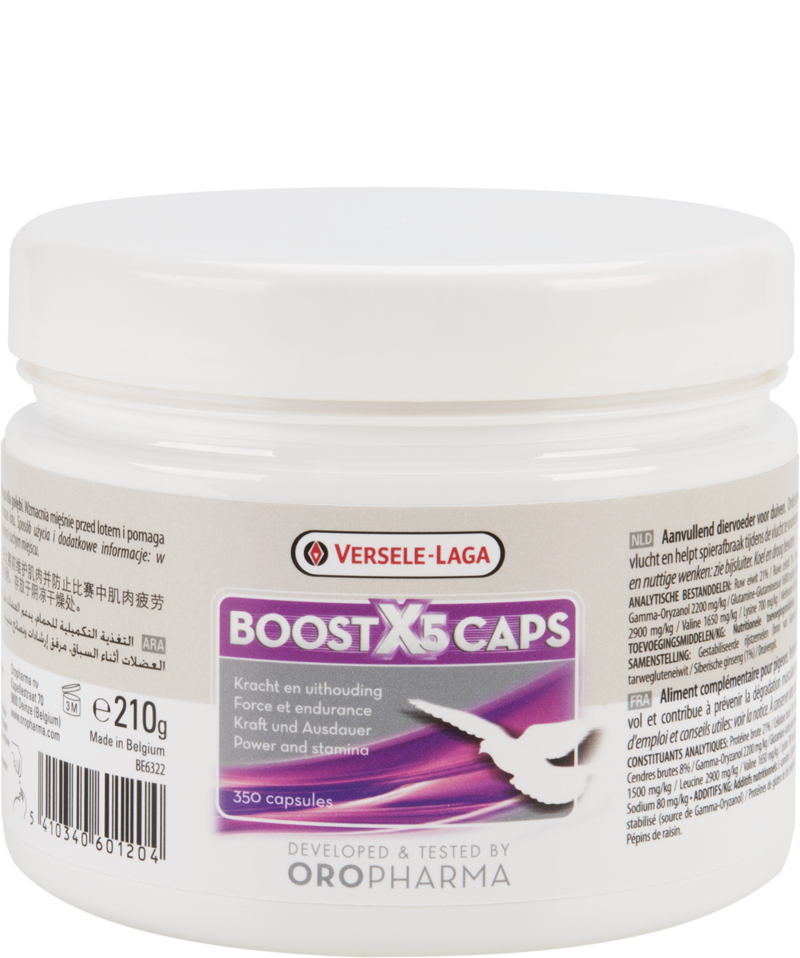Boost X5 Caps (Versele-Laga) Racing Pigeons Energy Mix with Ginseng | Chicken Antibiotics