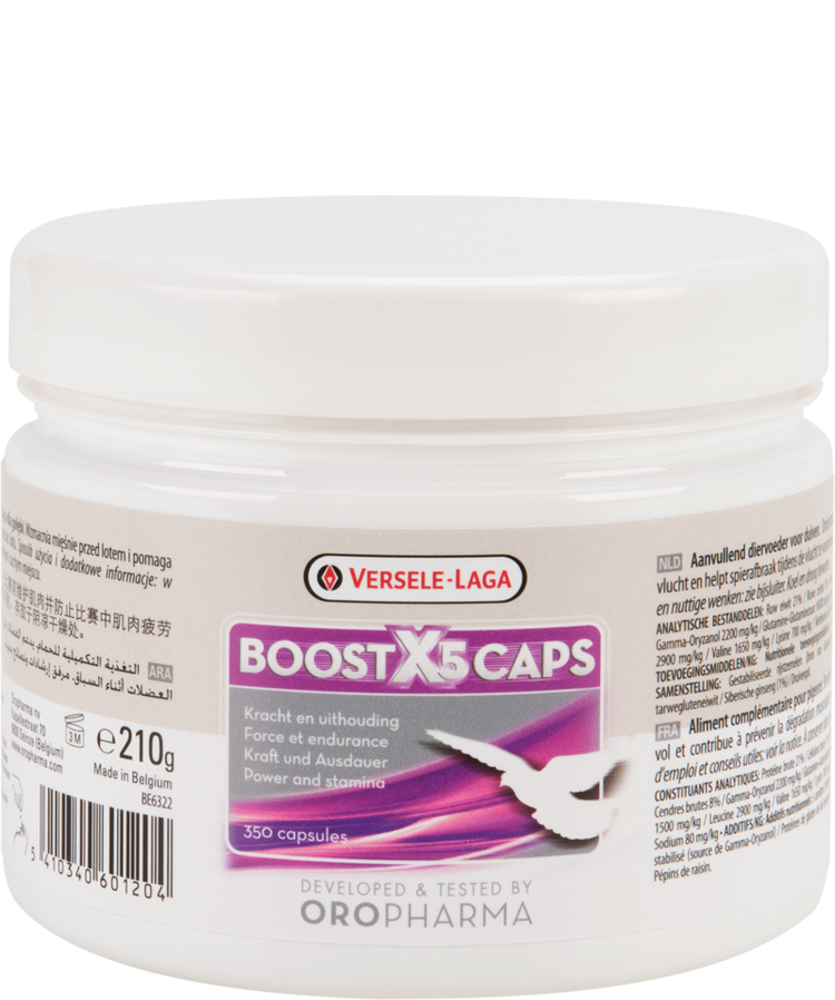 Boost X5 Caps (Versele-Laga) Racing Pigeons Energy Mix with Ginseng | Chicken Antibiotics