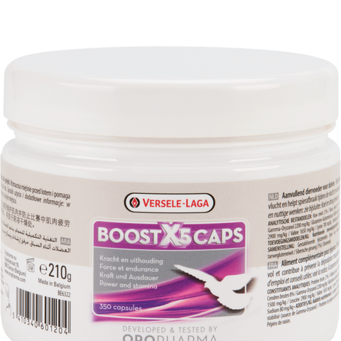 Boost X5 Caps (Versele-Laga) Racing Pigeons Energy Mix with Ginseng | Chicken Antibiotics