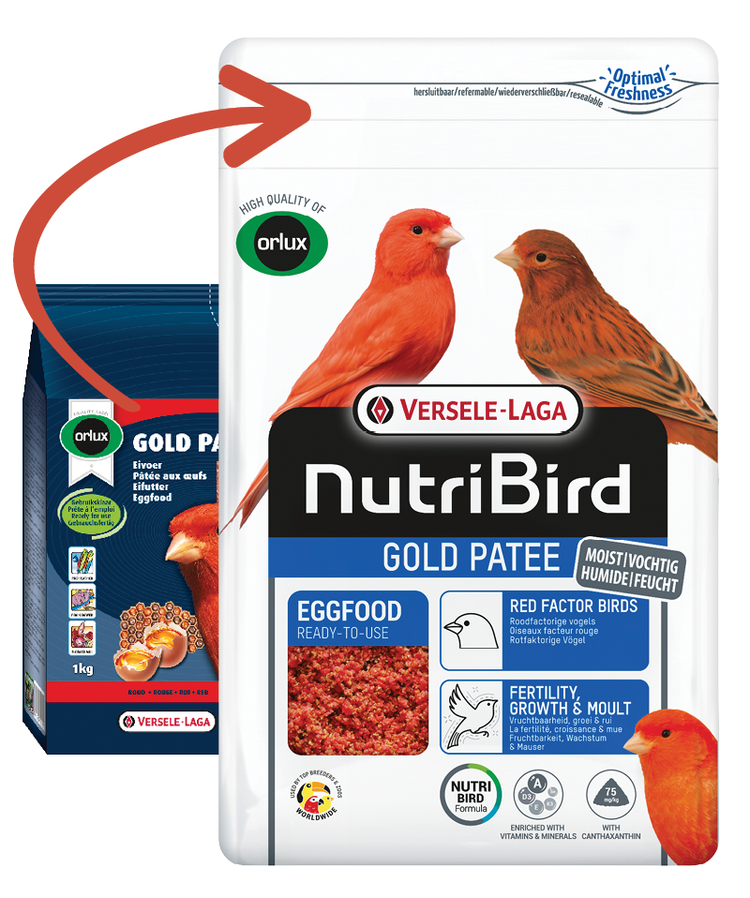 Gold Patee Red (Versele-Laga) Premium Canary Eggfood Supplement | Chicken Antibiotics