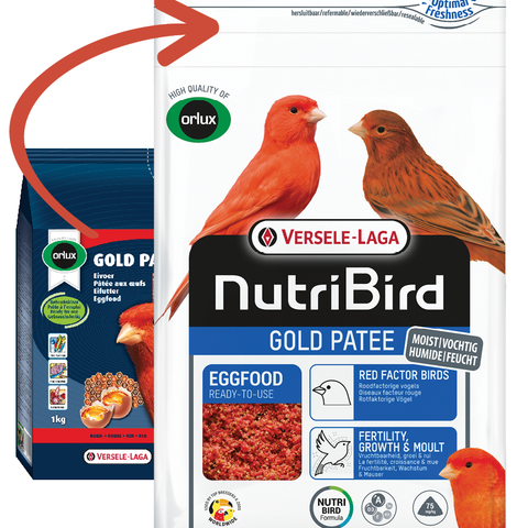 Gold Patee Red (Versele-Laga) Premium Canary Eggfood Supplement | Chicken Antibiotics