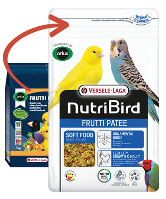 Frutti Patee (Versele-Laga) Nutritious Omega-3 Food for Budgies | Chicken Antibiotics