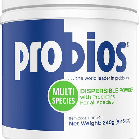 Probios Dispersible Powder with Probiotics for All Species (240g, 2.27kg) - 240g | Chicken Antibiotics