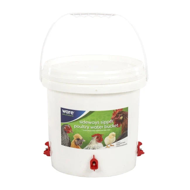 Sideways Sipper Poultry Water Bucket – 2.5 Gallon Top-Fill Waterer with Nipples | Chicken Antibiotics