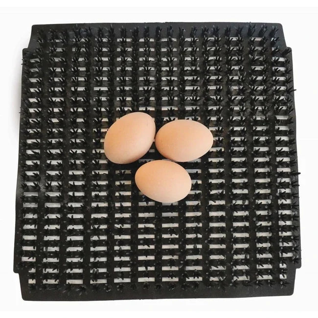 Reusable Poultry Nesting Pads | Chicken Antibiotics