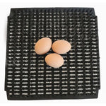 Reusable Poultry Nesting Pads | Chicken Antibiotics