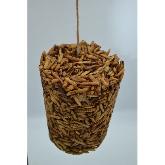PECK AWAY GRUB ON A STRING 9.8oz | Chicken Antibiotics
