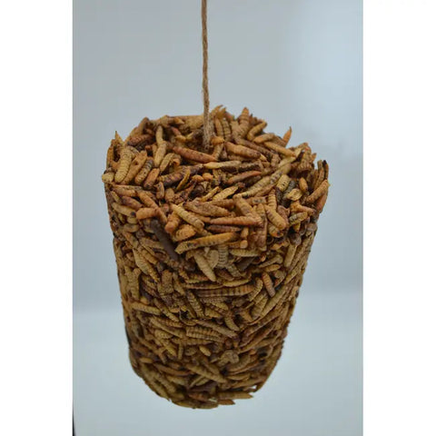 PECK AWAY GRUB ON A STRING 9.8oz | Chicken Antibiotics