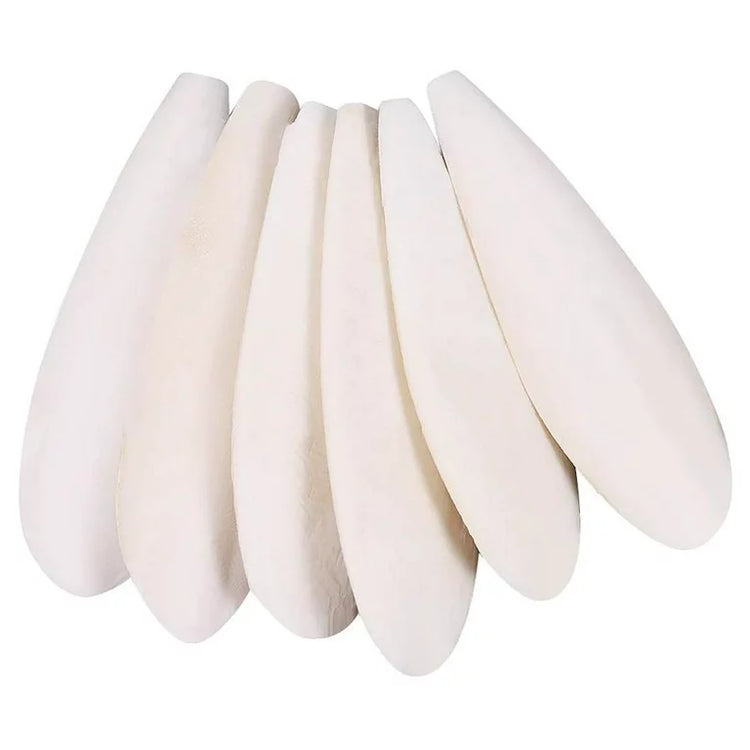 Cuttle bone 6-8" - 1 lb | Chicken Antibiotics