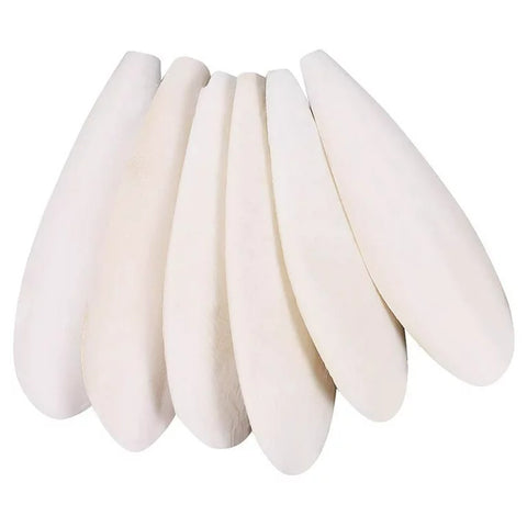 Cuttle bone 6-8
