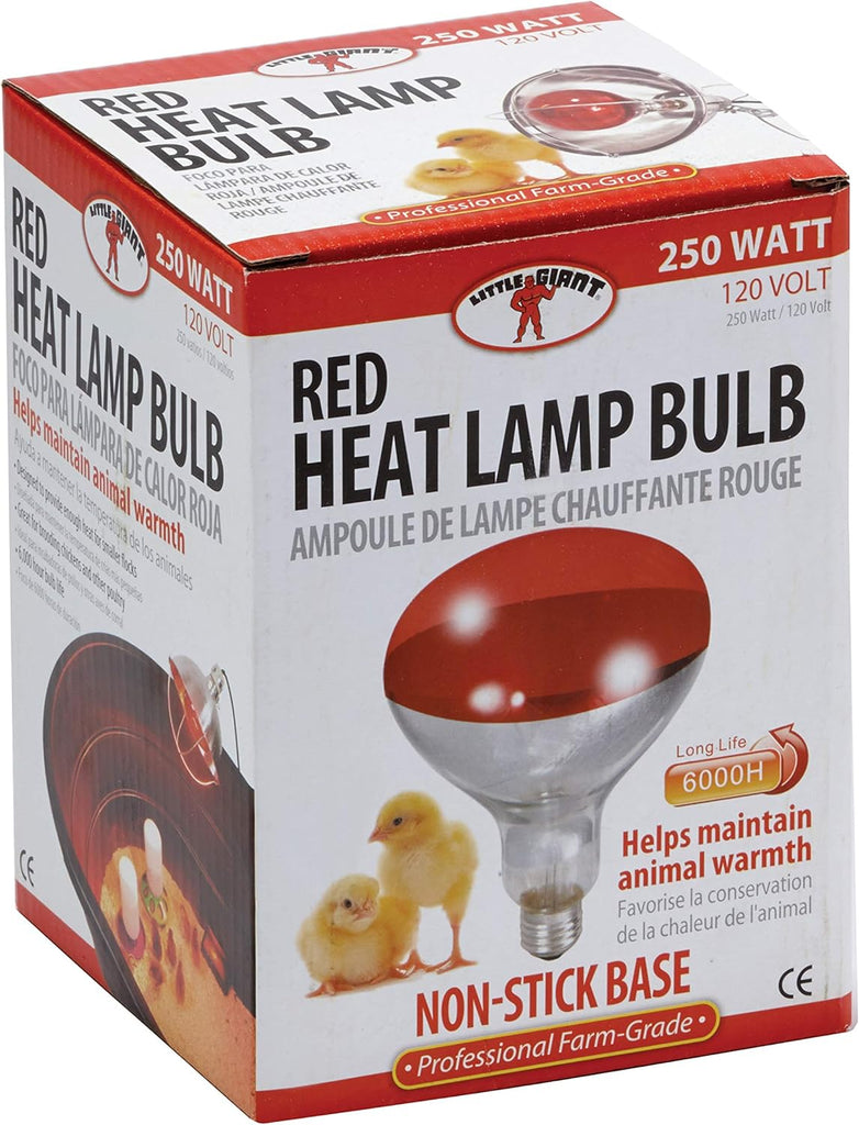 250 Watt Heat Lamp Bulb – Poultry Brooder & Livestock Heat Light (120V) | Chicken Antibiotics