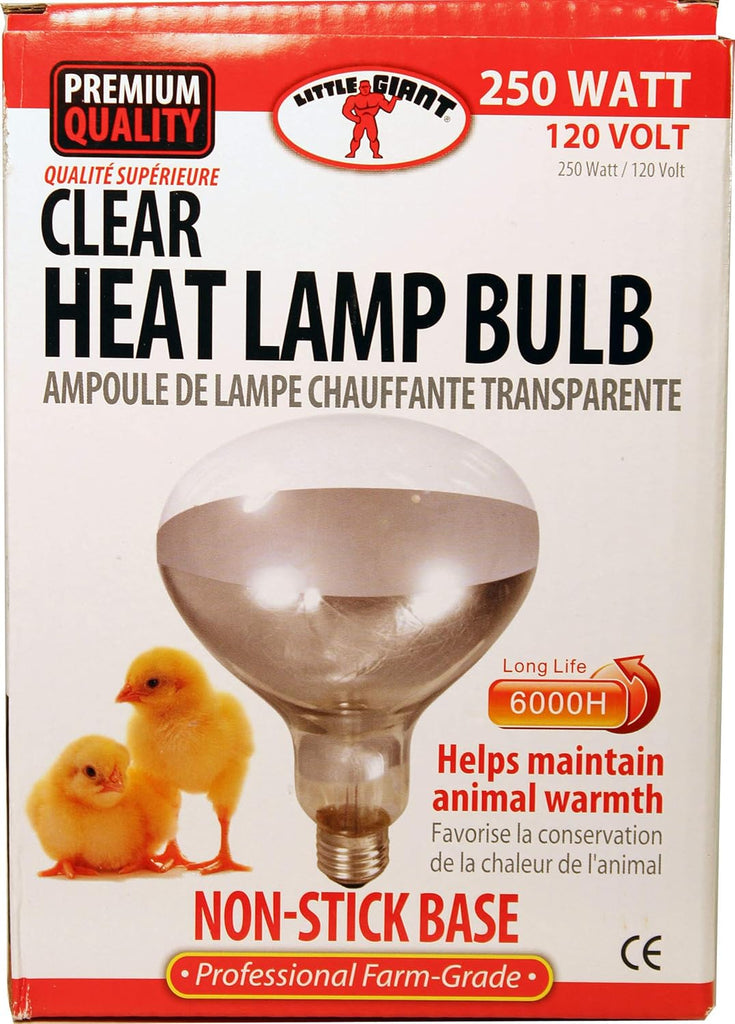 250 Watt Heat Lamp Bulb – Poultry Brooder & Livestock Heat Light (120V) - Red | Chicken Antibiotics