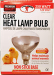 250 Watt Heat Lamp Bulb – Poultry Brooder & Livestock Heat Light (120V) - Red | Chicken Antibiotics