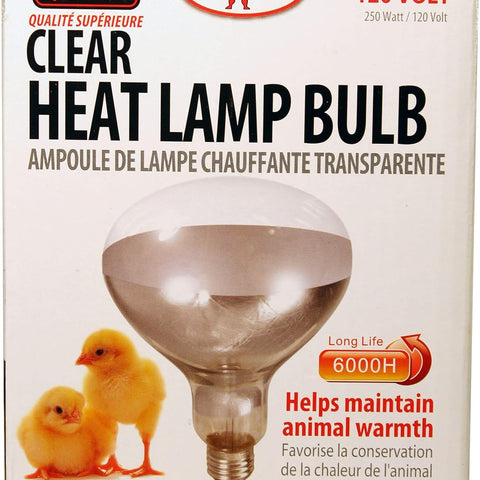 250 Watt Heat Lamp Bulb – Poultry Brooder & Livestock Heat Light (120V) - Clear | Chicken Antibiotics