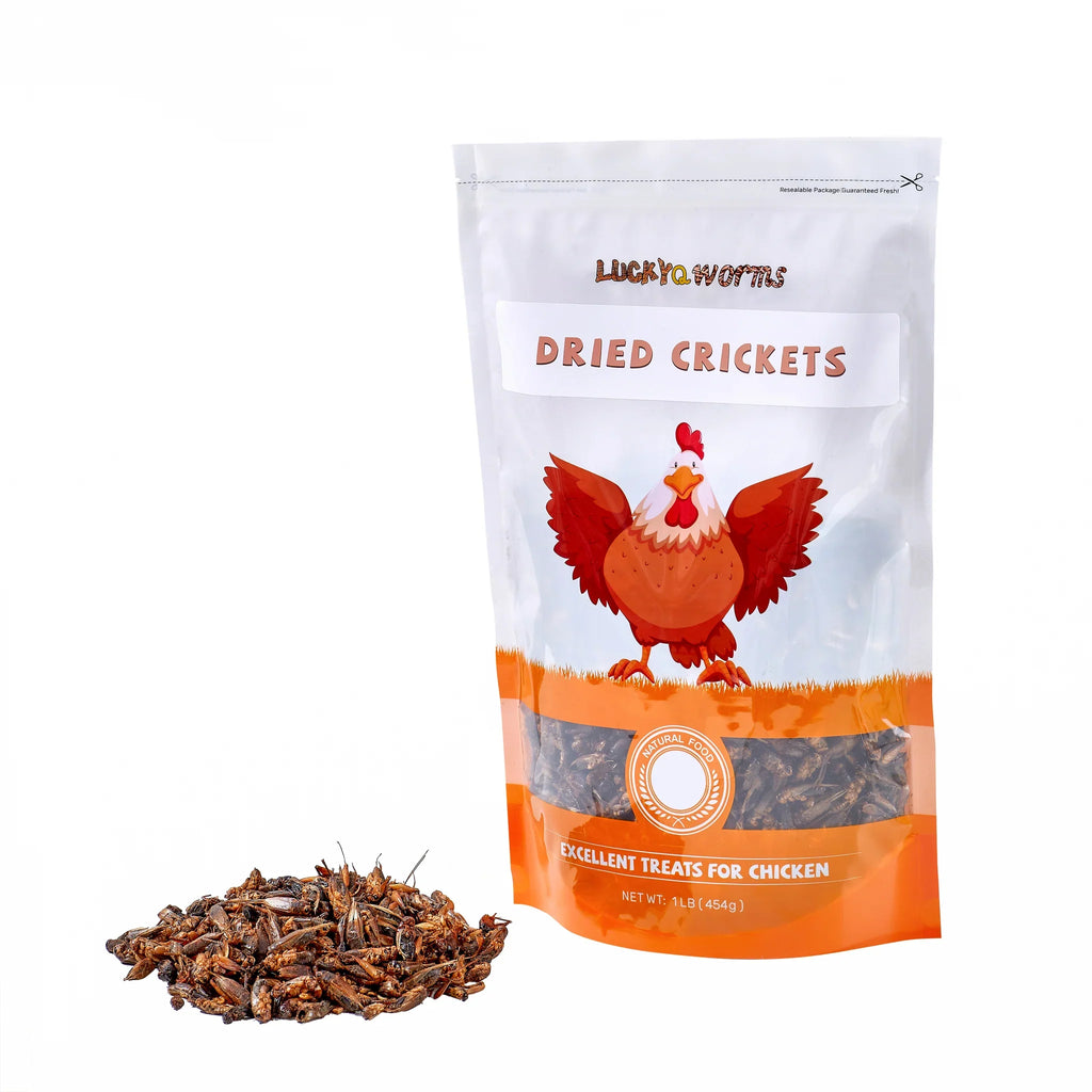 LuckyQworms 1lb Dried Crickets – High-Protein Natural Insect Feed for Chickens, Birds, Reptiles & Fish | All-Natural, Reseala