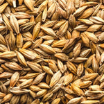 Barley Quality Barley Animal Feed | Chicken Antibiotics
