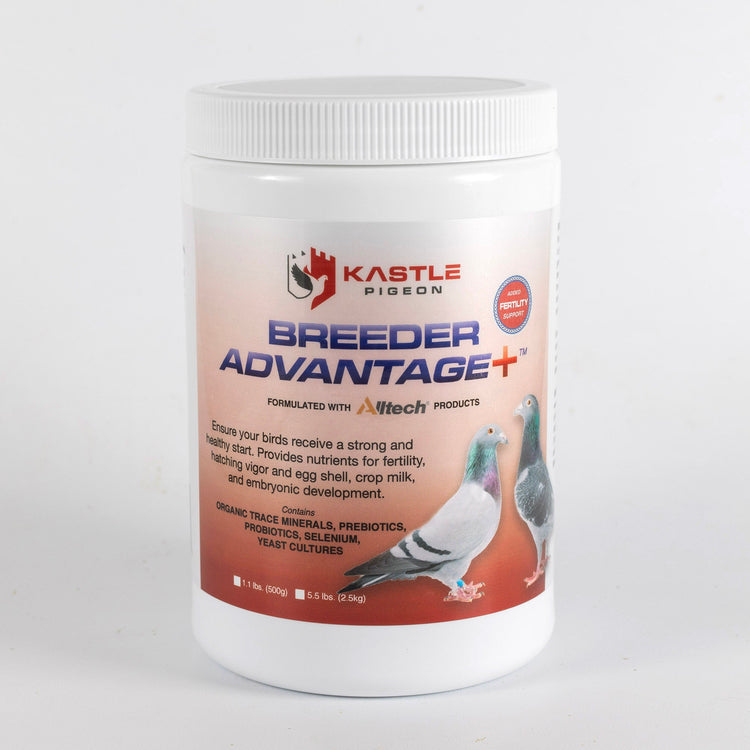 Breeder Advantage Plus (Kastle) | Chicken Antibiotics