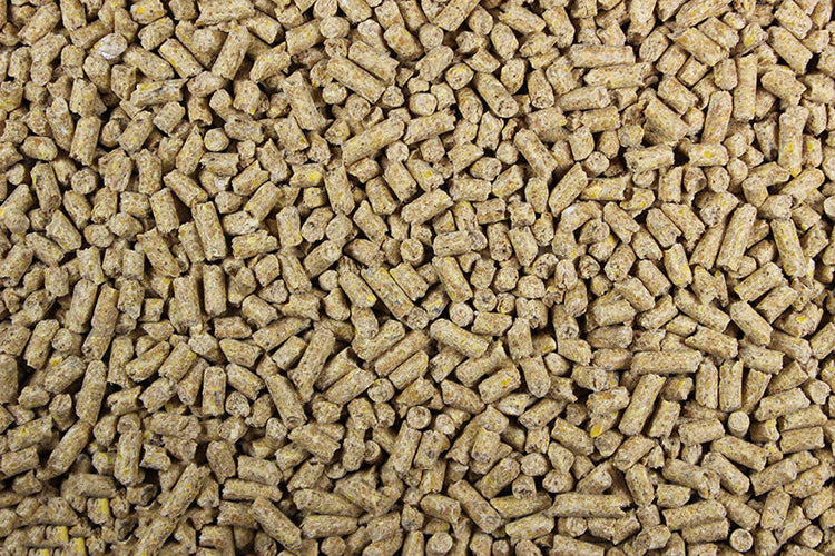 A.P. Lay Pellets (Leach Grain & Milling) Quality Laying Hen Pellets (16% Protein) - 25 lbs | Chicken Antibiotics