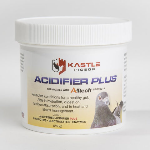 ACIDIFIER PLUS (Kastle) - 250gr | Chicken Antibiotics