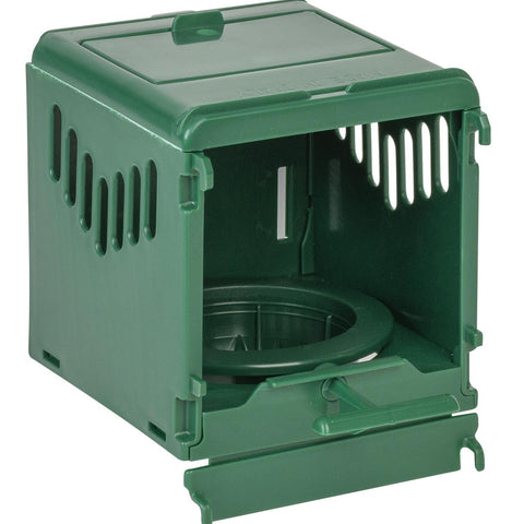 Nest for cardinals (2GR) - 8cm External Cardinal Nest | Chicken Antibiotics