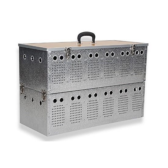 Aluminum Widowhood Basket | Pigeon Transport Box - 2-stall | Chicken Antibiotics
