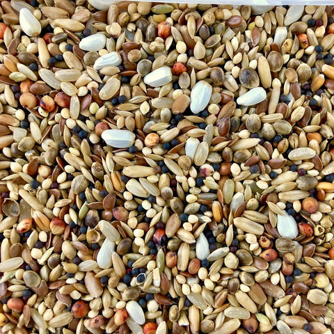 Chicken Antibiotics Candy Treat: Millet/Hemp Bird Seed Mix with Sweet Treats - 5 lbs | Chicken Antibiotics