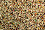 Canary Roller Cuisine Premium Canary Food/Canary Seed Mix - 4 lbs | Chicken Antibiotics