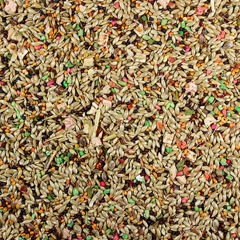 Canary Roller Cuisine Premium Canary Food/Canary Seed Mix - 4 lbs | Chicken Antibiotics